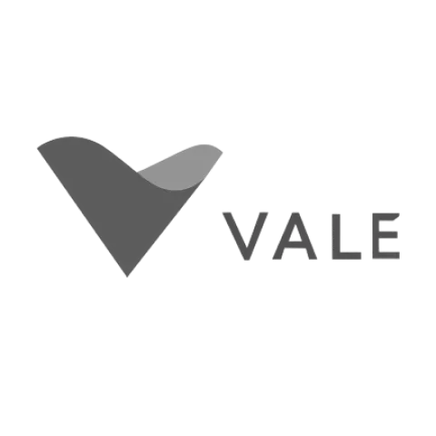 logo-vale
